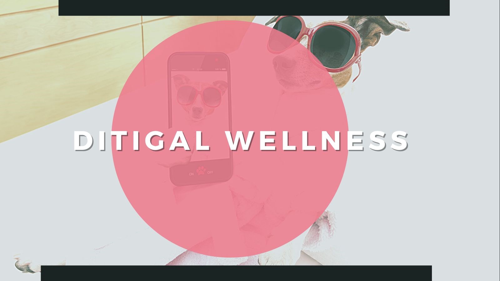 Digital Wellness